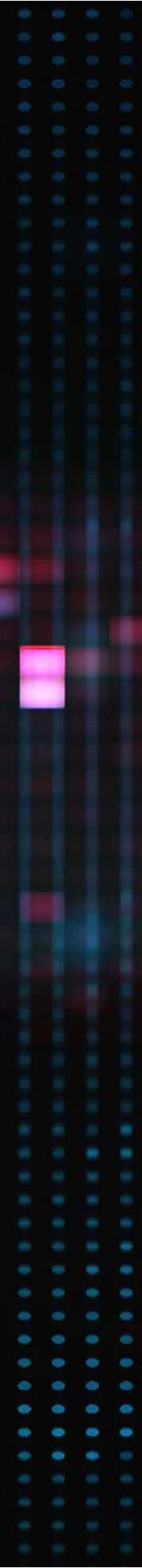 Benoit Lison Amrop Belgium